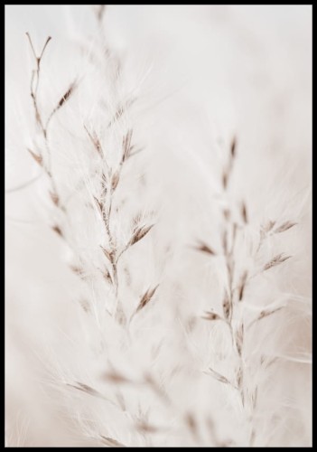 Zdjęcie zbliżenie na delikatne gałązki