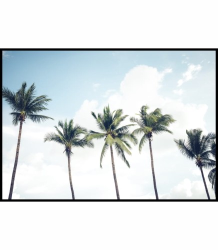 Zdjęcie tropikalnych palm kokosowych na tle wakacyjnego nieba