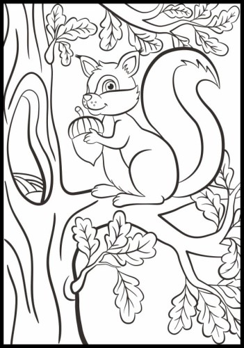Kolorowanka wiewiórka z żołędziem