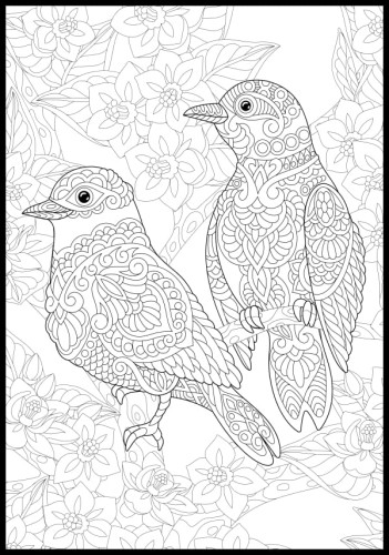 Kolorowanka ptaki w ogrodzie