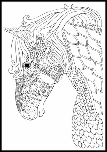 Kolorowanka koń