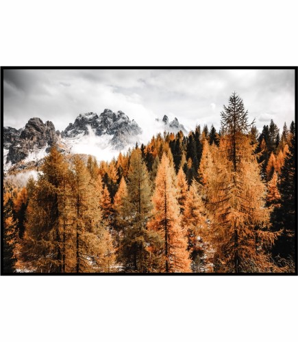 Ciepłe zdjęcie lasu na tle wysokich, ośnieżonych gór