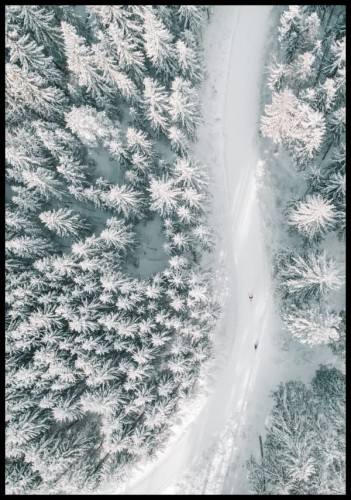 Przepiękny zimowy plakat z ujęciem ośnieżonego lasu z lotu ptaka