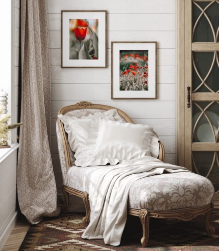 Zestaw plakatów z kwiatami z czerwonymi akcentami maków i tulipanów