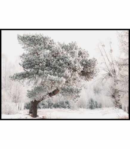 Plakat przedstawiający zaśnieżoną scenerię lasu z dużym drzewem na pierwszym planie