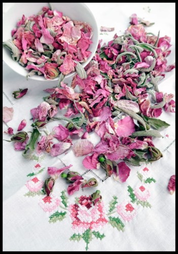 Plakat suszone pąki i płatki