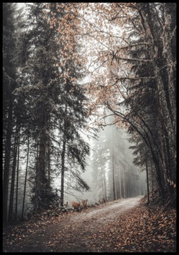 Plakat mistyczny jesienny las