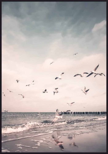 Plakat mewy na plaży