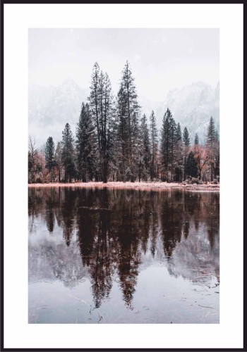 plakat drzewa nad rzeką z białą obwódką dookoła