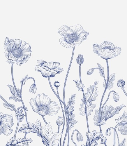 Tapeta blue and white poppies