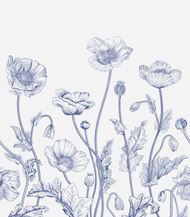 Tapeta blue and white poppies
