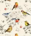 Tapeta little birds