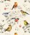 Tapeta little birds