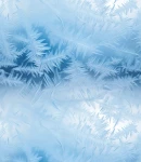 Próbka tapety winter frost