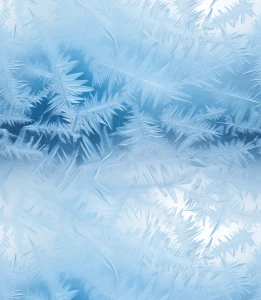 Próbka tapety winter frost