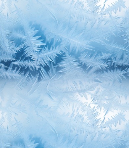 Próbka tapety winter frost