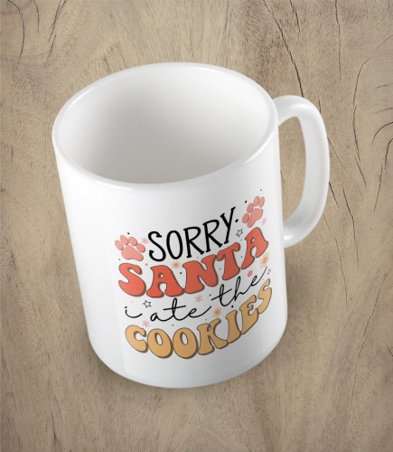 KUBEK_518_sorry_santa_bialy.jpg
