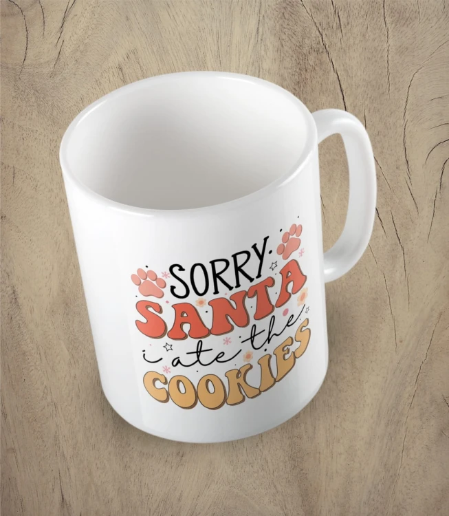 KUBEK_518_sorry_santa_bialy.jpg