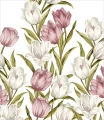 Fototapeta pastelowe tulipany