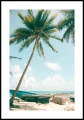 Plakat palma nad oceanem z białym marginesem dookoła