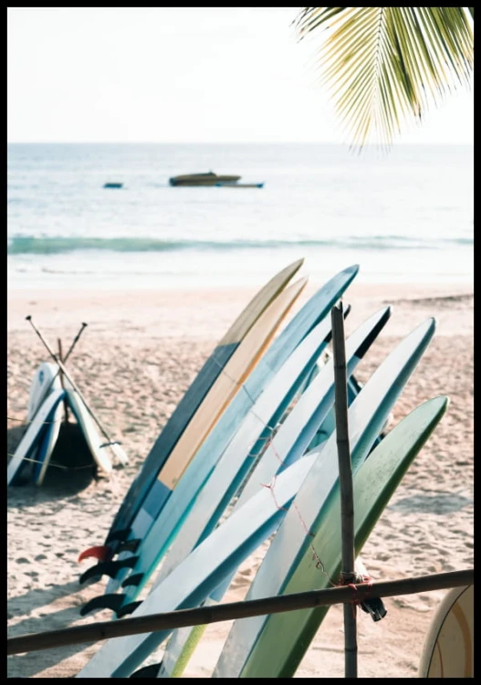 PLAK_663_deski_surfingowe_pod_palma.jpg