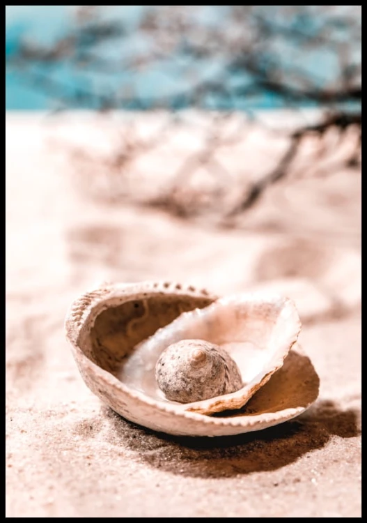 Plakat - fotografia muszelek na brzegu morza