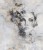 Fototapeta woman's face with flower
