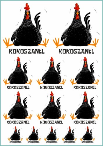 Tatuaże tymczasowe kokoszanel