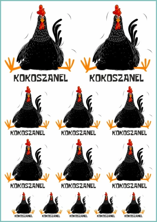 Tatuaże tymczasowe kokoszanel