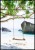 PLAK_694_hustawka_na_wyspie_koh_kood.jpg