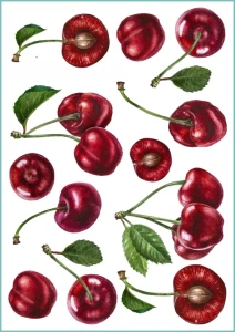 Tatuaże tymczasowe sweet cherry set