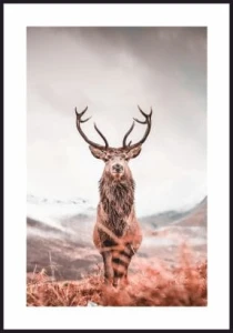 Plakat jeleń w górskiej dolinie