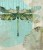 Fototapeta dragonflies that fly
