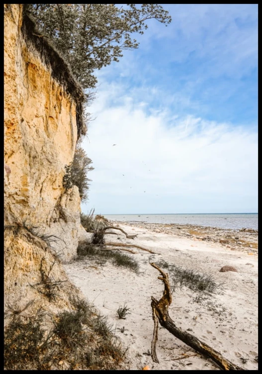 Plakat - zdjęcie klifu nad brzegiem Bałtyku