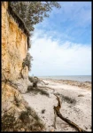 Plakat strome wybrzeże w Gollwitzer Strand