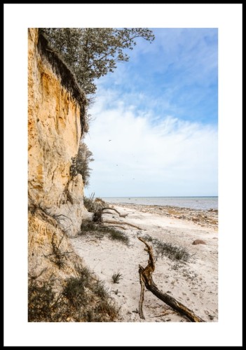 Plakat strome wybrzeże w Gollwitzer Strand z białym marginesem