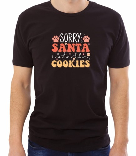 SHIRT_1039_sorry_santa_MC.jpg