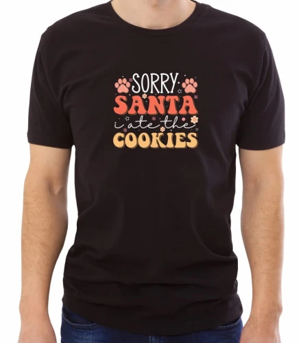 SHIRT_1039_sorry_santa_MC.jpg