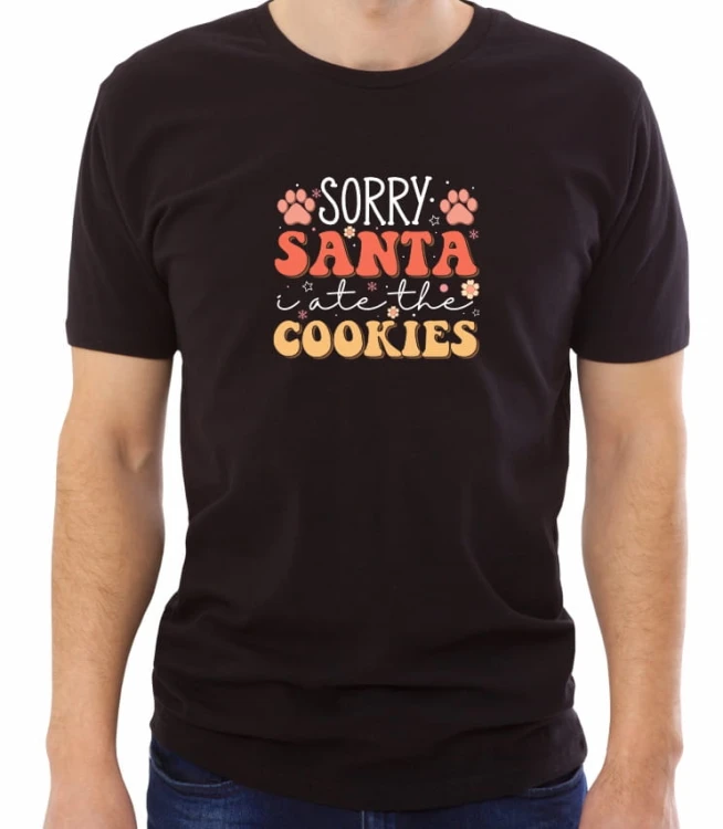 SHIRT_1039_sorry_santa_MC.jpg