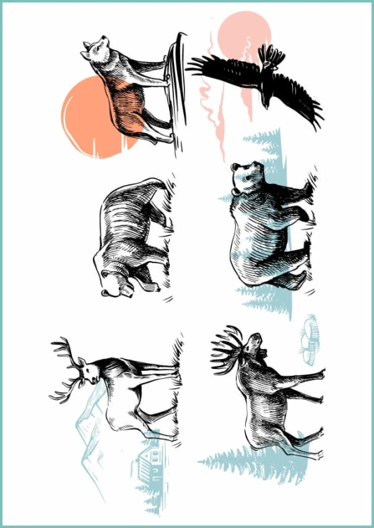 TATTOO_436_wild_animals_drawing.jpg