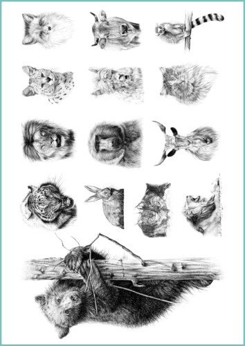 TATTOO_437_hand_drawing_animals.jpg