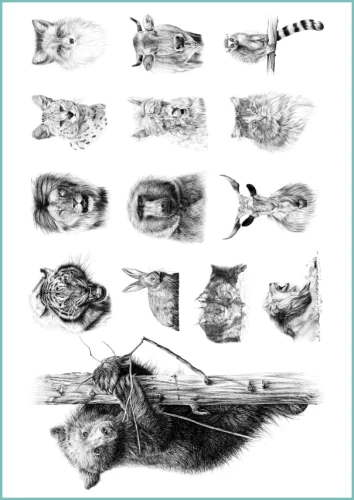 TATTOO_437_hand_drawing_animals.jpg