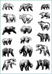 Tatuaże tymczasowe wild bears set