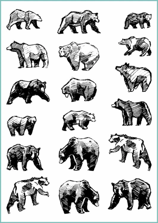 TATTOO_439_wild_bears_set.jpg