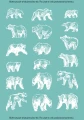 TATTOO_439_wild_bears_set_bialy.jpg