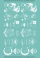 TATTOO_450_magiczne_zaby_bialy.jpg