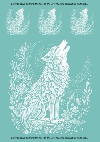 TATTOO_503_wyjacy_wilk_bialy.jpg