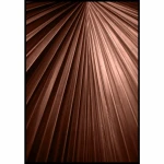 Plakat liść palmowy w kolorze mocha mousse