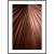 PLAK_740_lisc_palmowy_w_kolorze_mocha_mousse_ramka.jpg