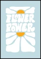PLAK_720_flower_power.jpg